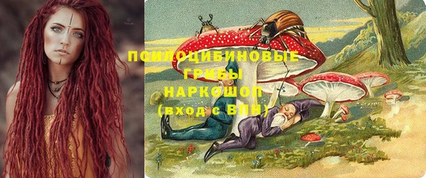 spice Куйбышев