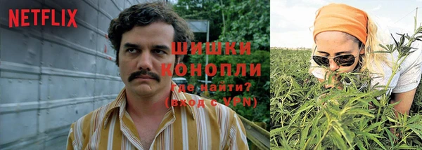 эйфоретик Балахна