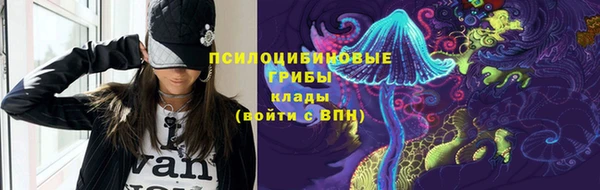 эйфоретик Арсеньев
