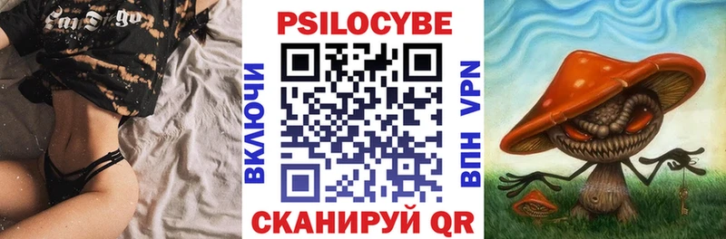 Псилоцибиновые грибы прущие грибы  блэк спрут как войти  маркетплейс телеграм  Георгиевск 