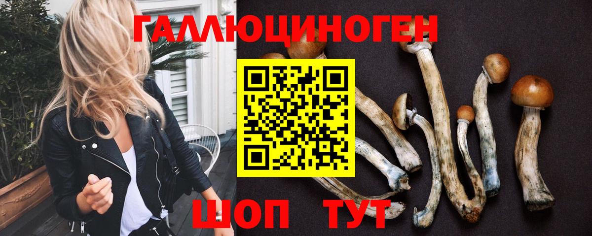 Псилоцибиновые грибы GOLDEN TEACHER  где найти наркотики  Вход с VPN  Георгиевск  Галлюциногенные грибы GOLDEN TEACHER 